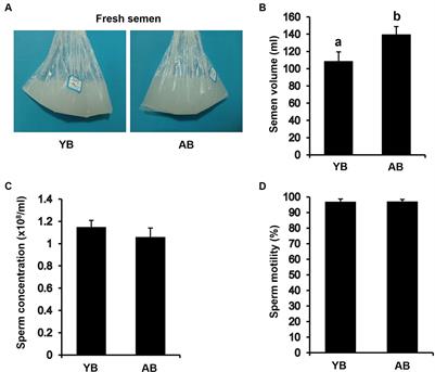 Effects of different ages on frozen semen quality and in vitro fertilization efficiency in Wannan black pigs